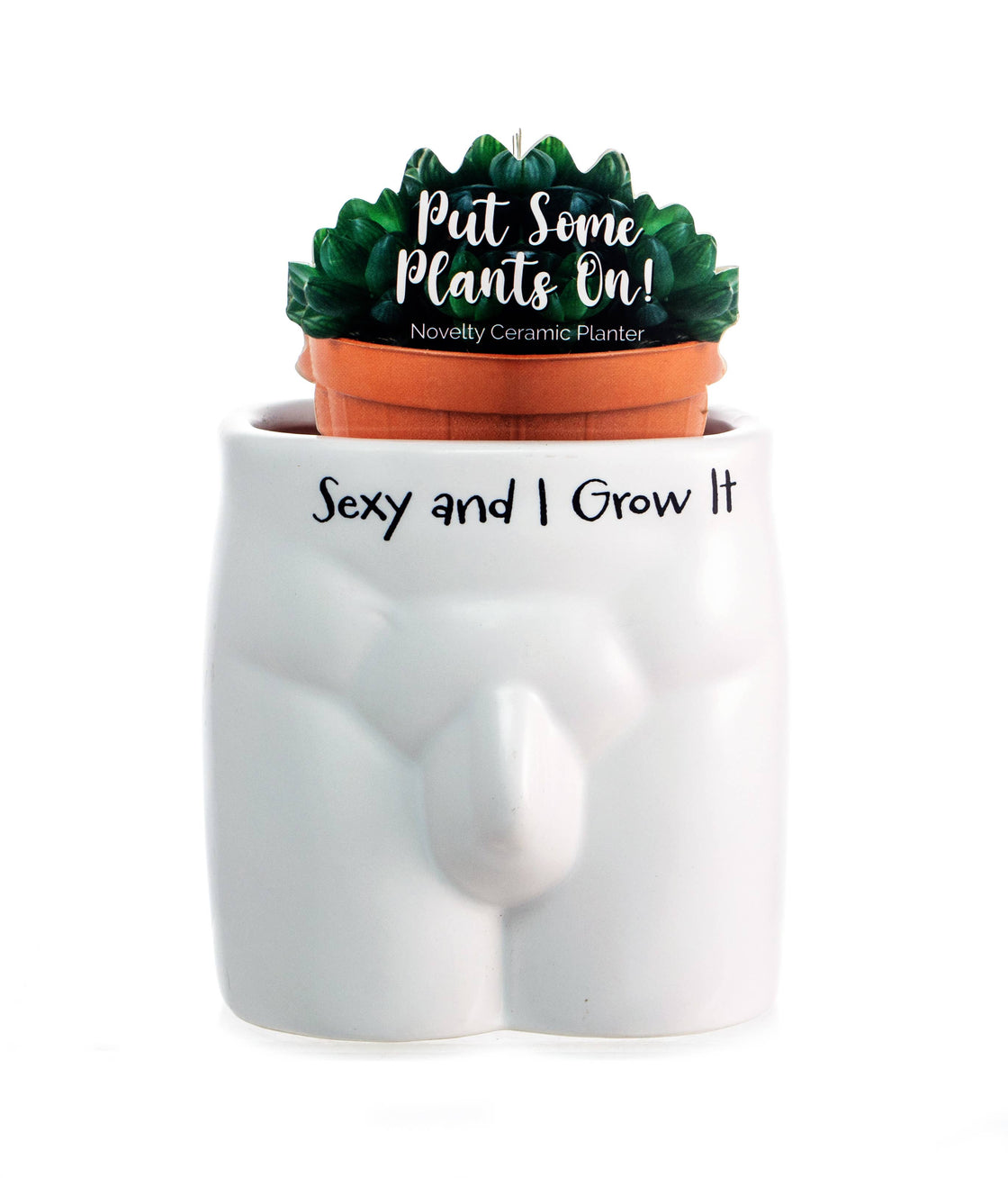 Sexy and I Grow It Put Some Plants on Novelty Indoor Planter