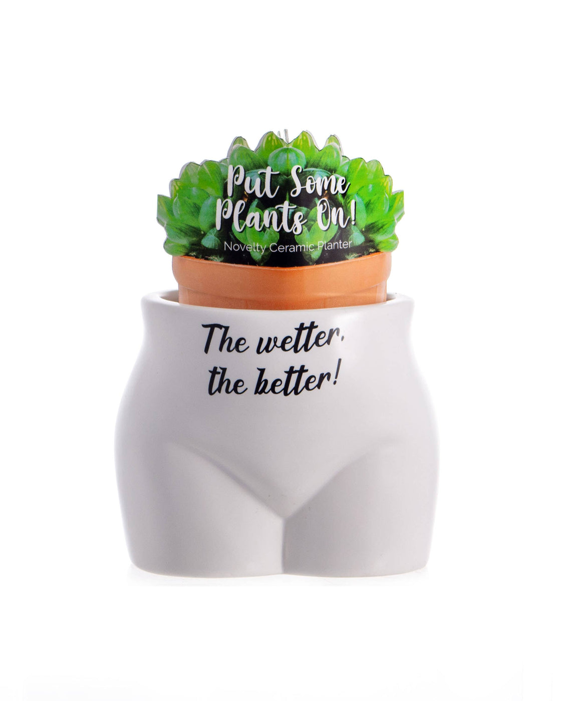 The Wetter the Better Put Some Plants On - Novelty Planter