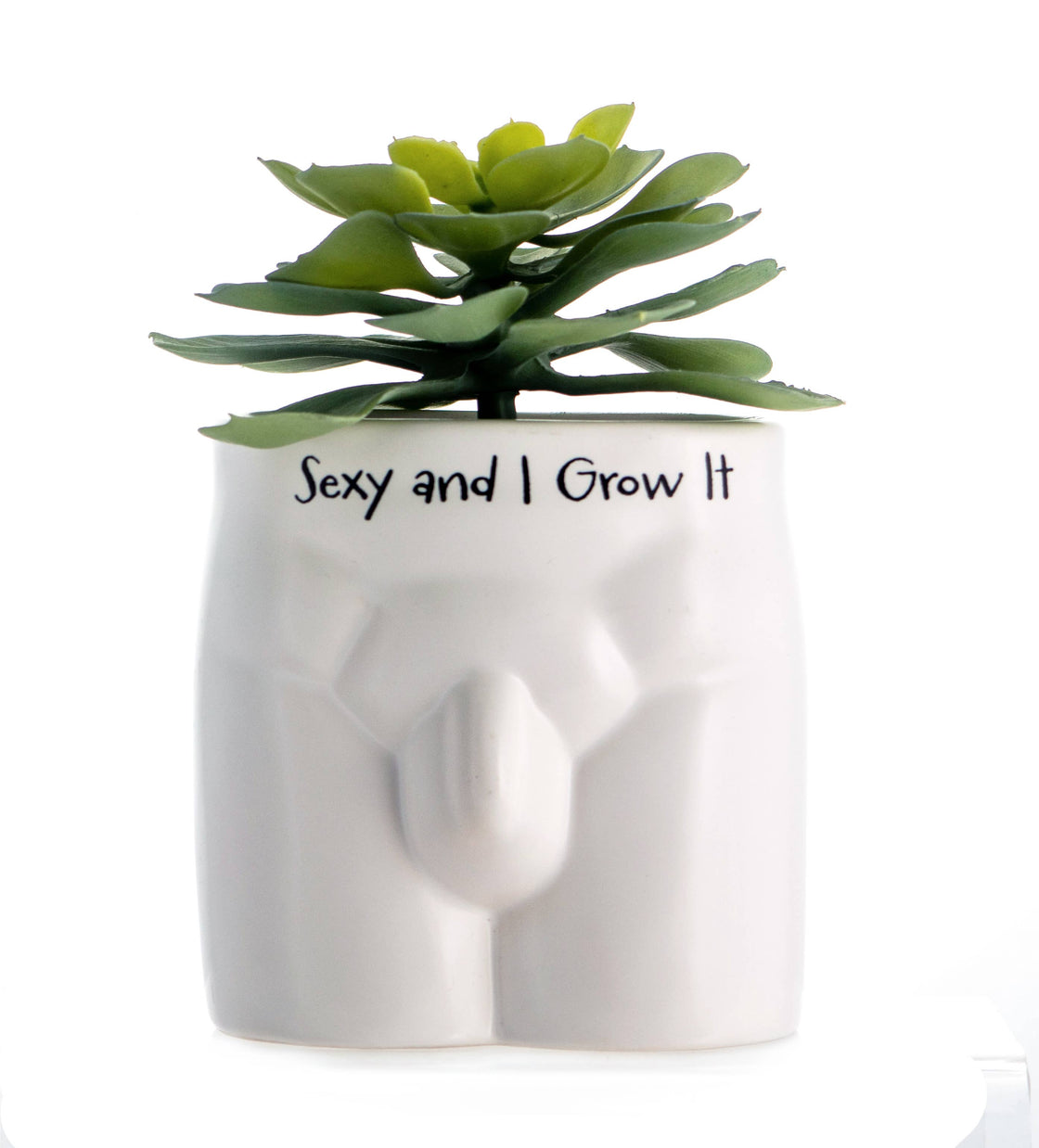 Sexy and I Grow It Put Some Plants on Novelty Indoor Planter