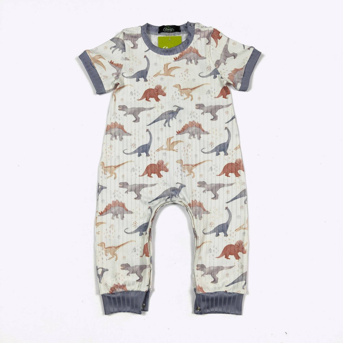 Stegosaurus Boy Romper