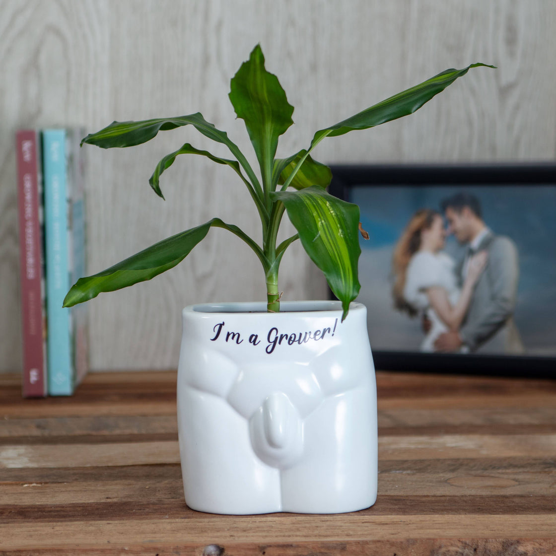 I'm A Grower Put Some Plants On - Novelty Indoor Planter