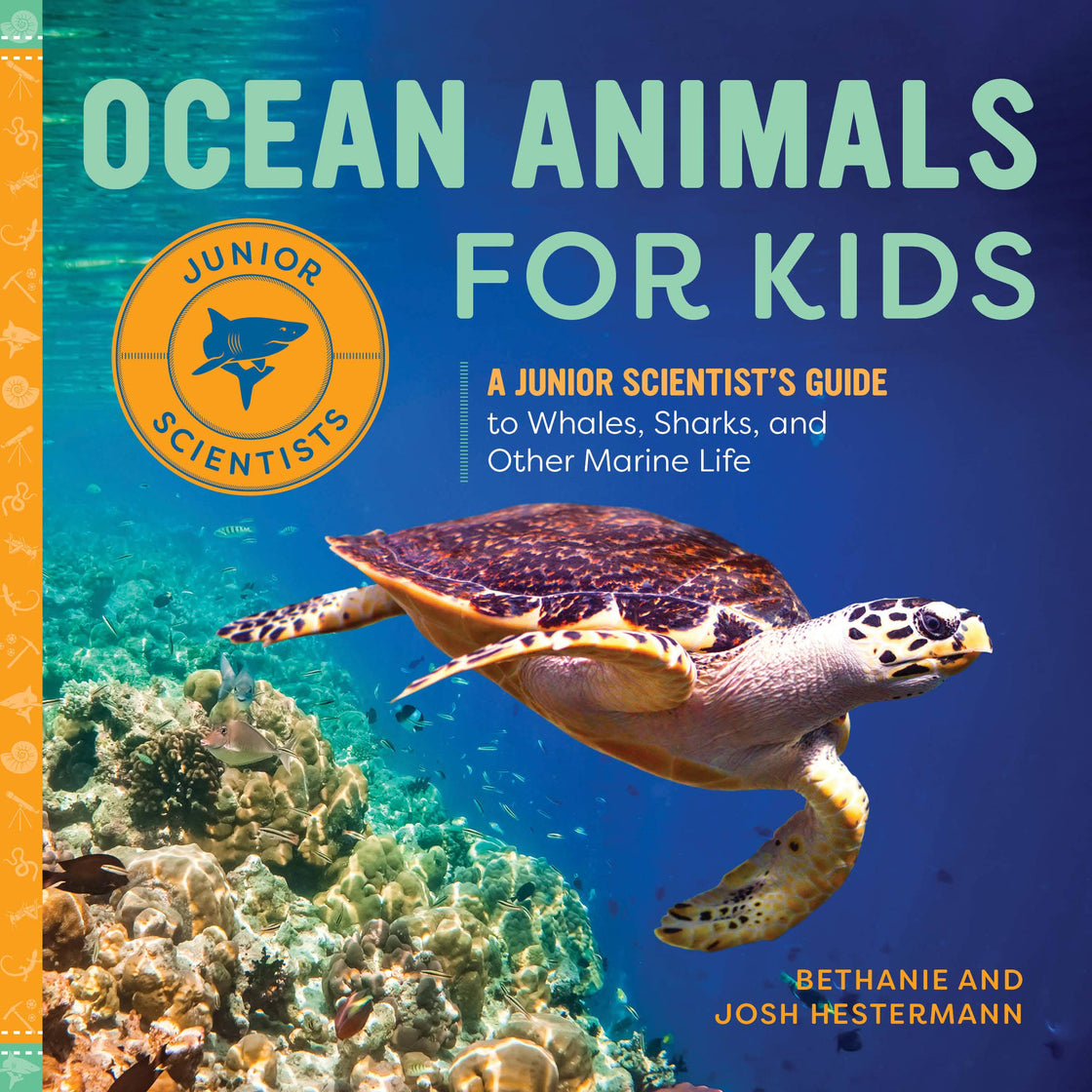 Ocean Animals for Kids