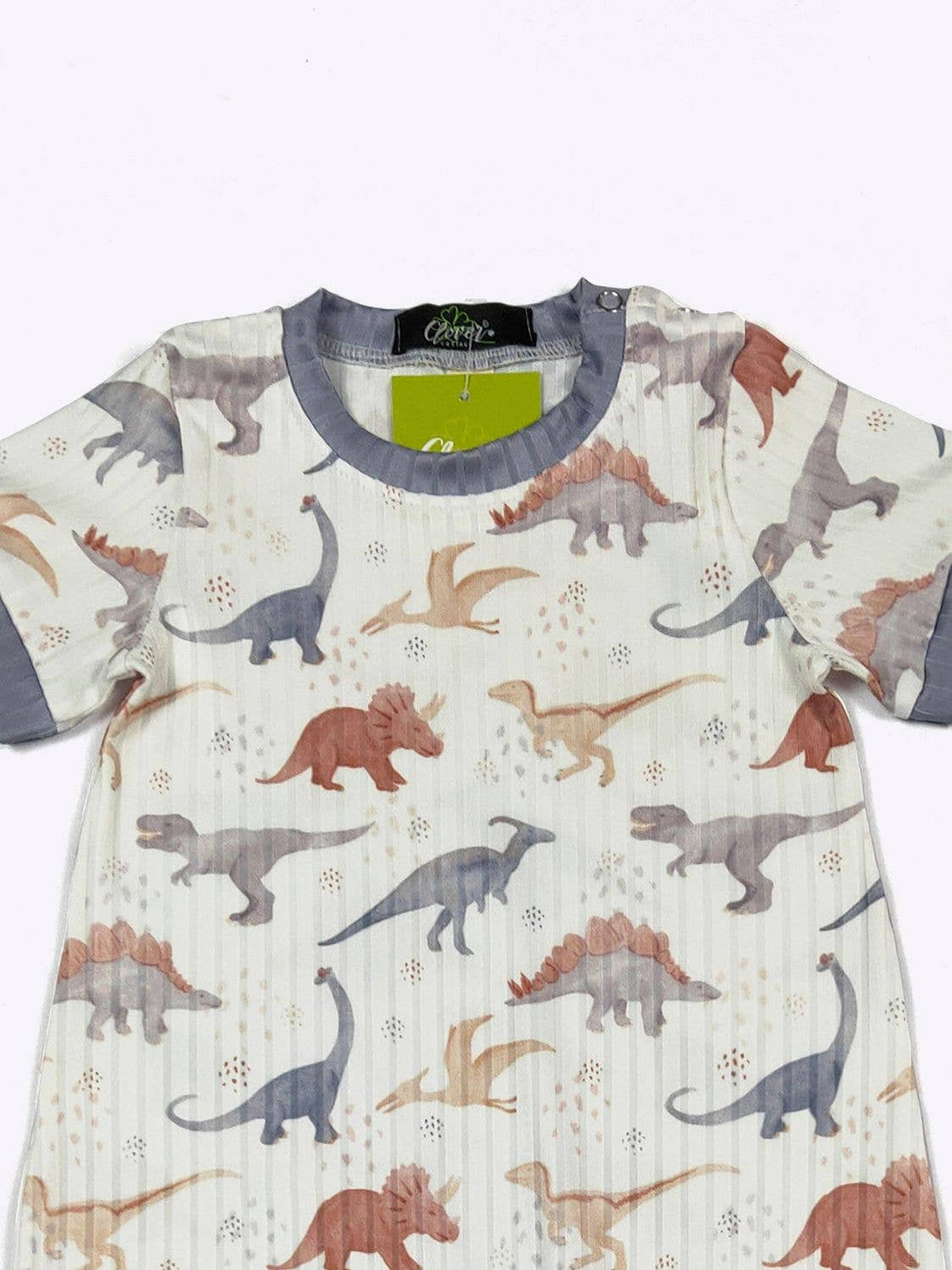 Stegosaurus Boy Romper