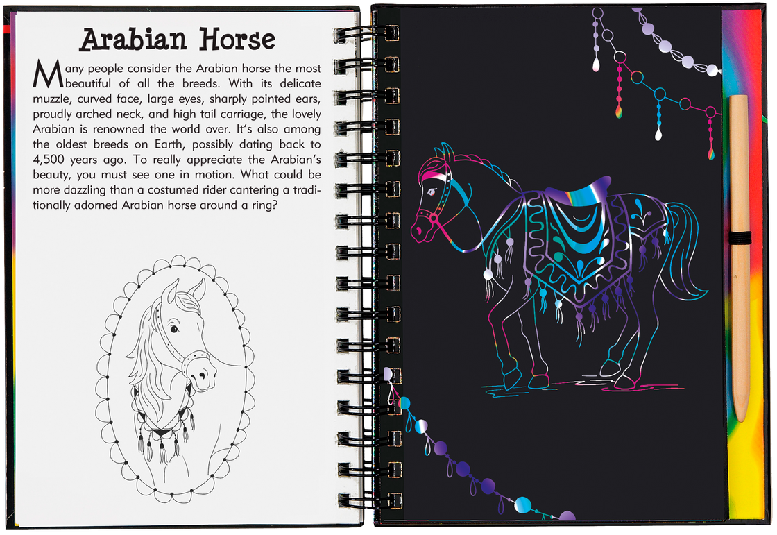 Scratch & Sketch: Horses