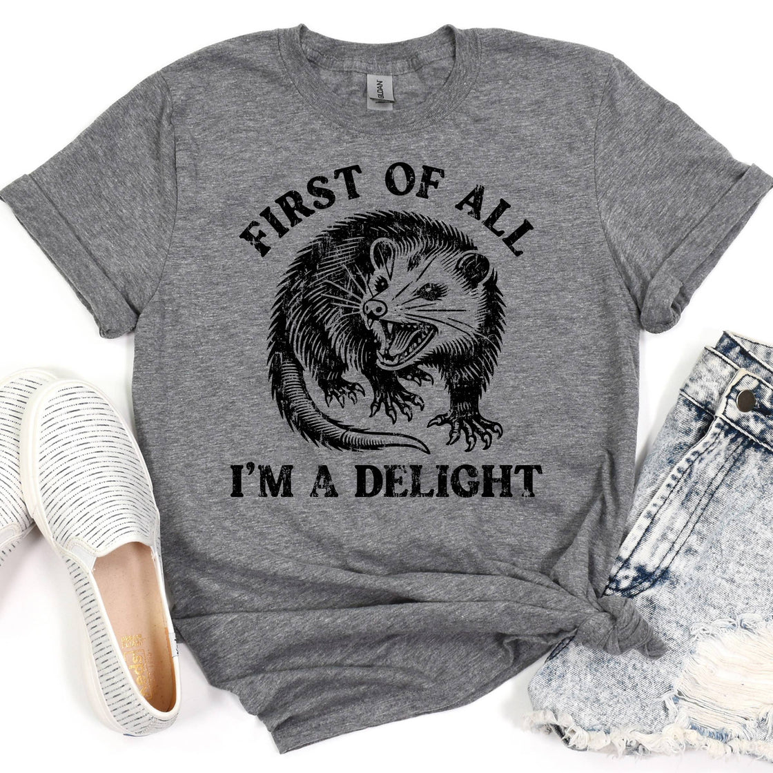 I'm a Delight Possum Funny Graphic Tee, Graphic Shirt