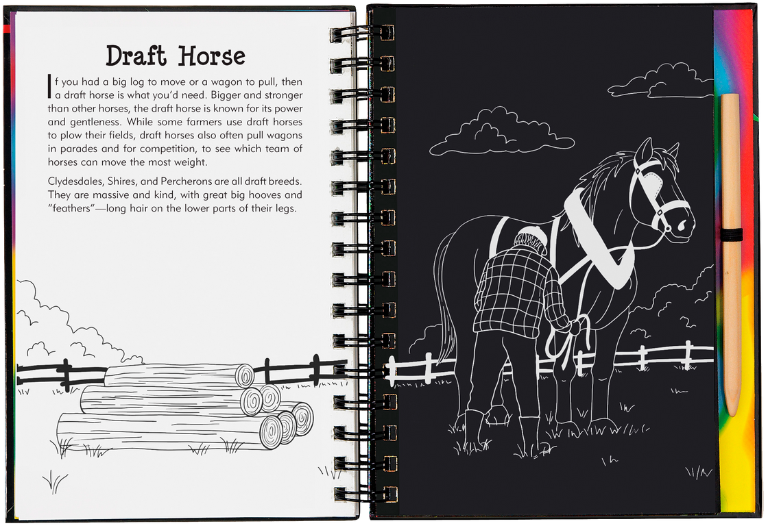 Scratch & Sketch: Horses